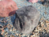 Memorial Rock Urn 1917 Medium Black / Charcoal