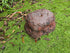 Memorial Rock Urn  2148 Regular Black