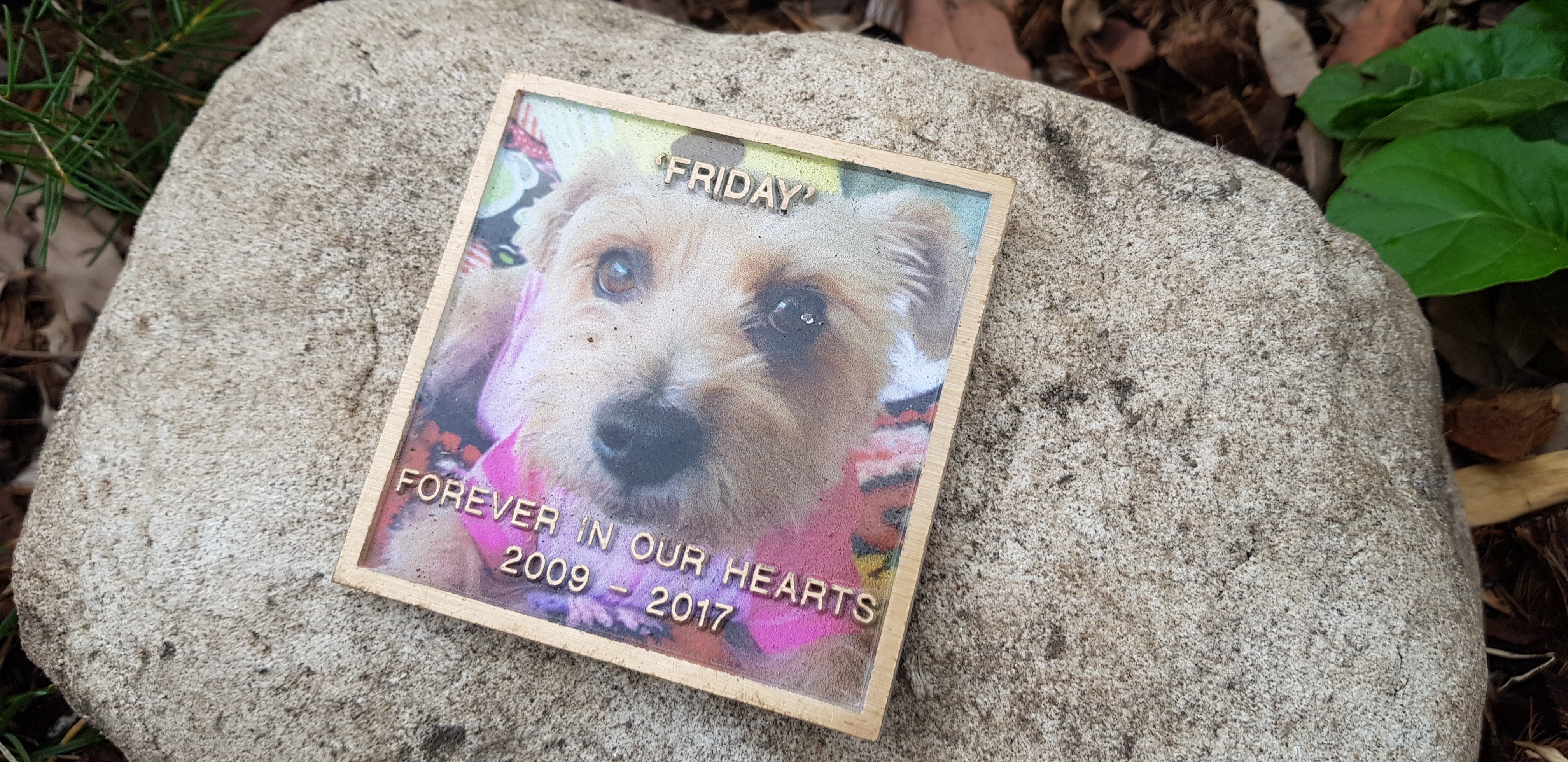 PET Memorial Rock Urn 1173