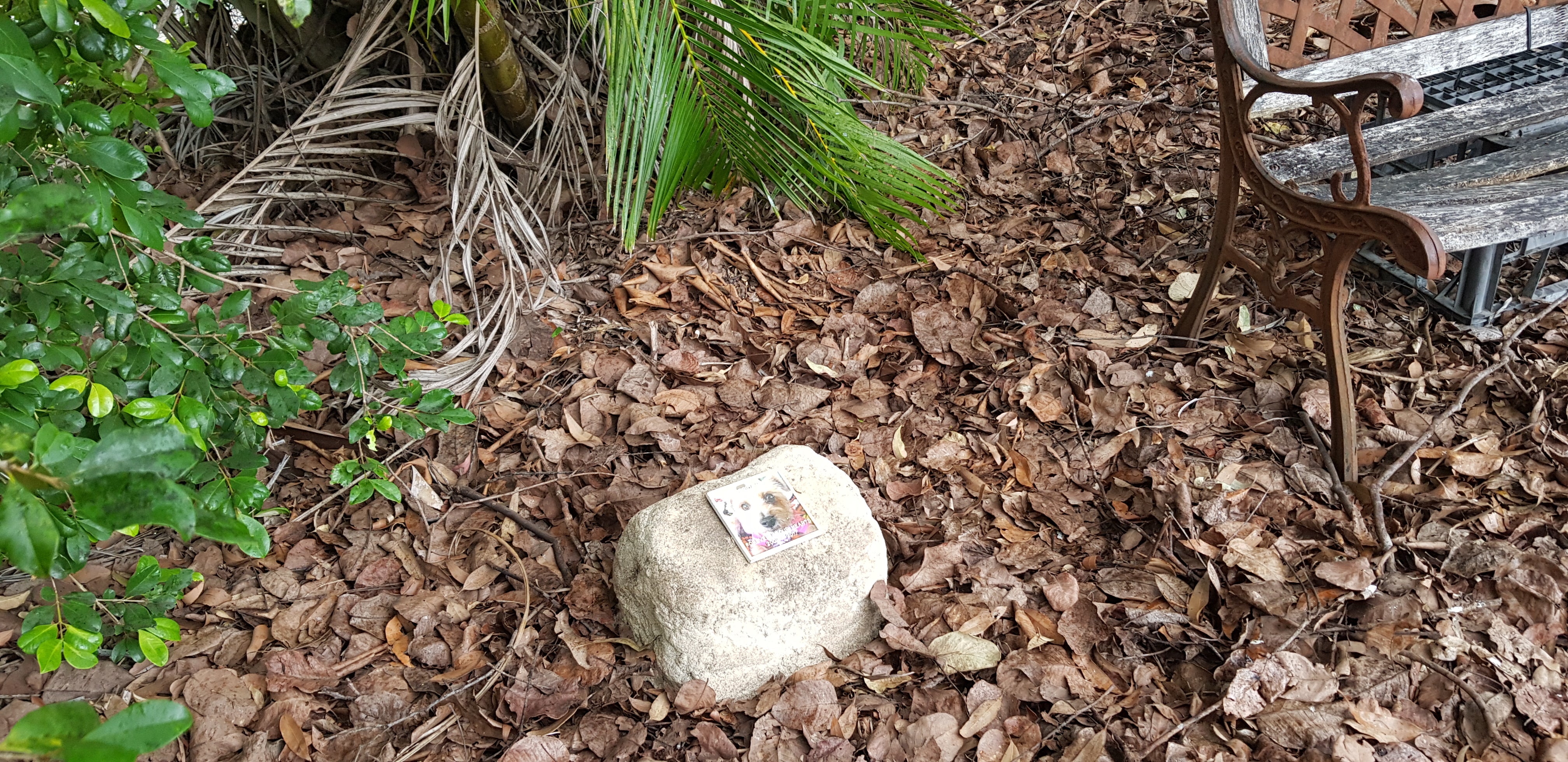 PET Memorial Rock Urn 1200